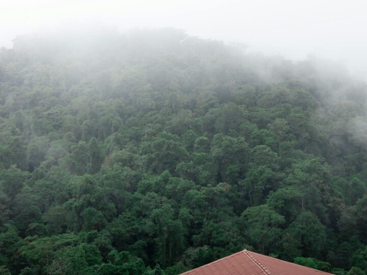 Maison de la Nature